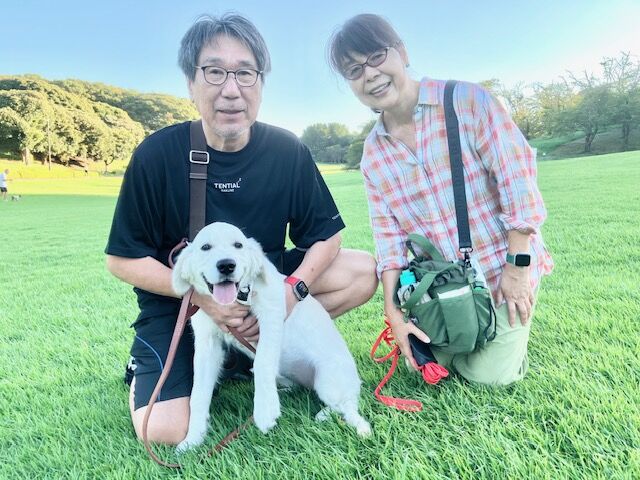 横浜市の犬のしつけ教室・出張レッスン・無駄吠えの矯正レッスンを行うドッグスクールヴィッセ～今日のわん子達～