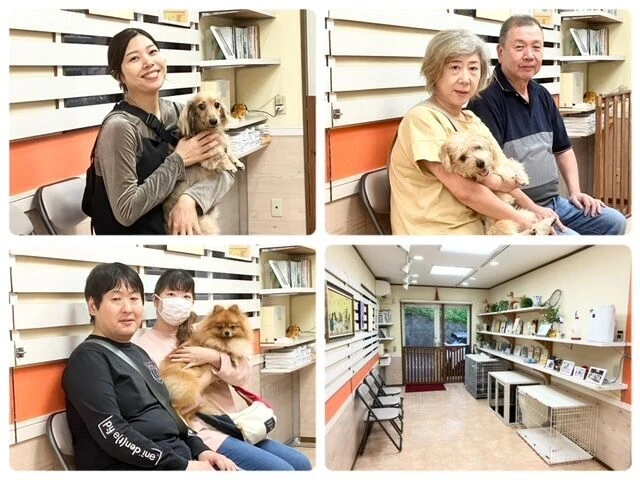 横浜市の犬のしつけ教室・出張レッスン・無駄吠えの矯正レッスンを行うドッグスクールヴィッセ～今日のわん子達～