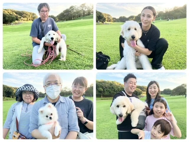 横浜市の犬のしつけ教室・出張レッスン・無駄吠えの矯正レッスンを行うドッグスクールヴィッセ～今日のわん子達～