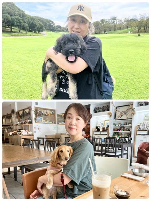 横浜市の犬のしつけ教室・出張レッスン・無駄吠えの矯正レッスンを行うドッグスクールヴィッセ～今日のわん子達～