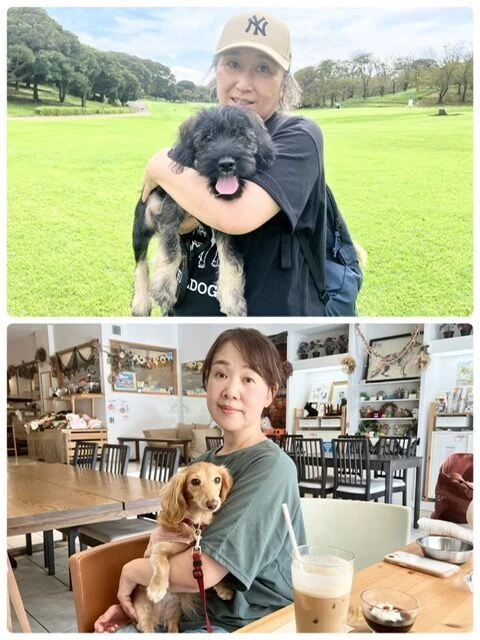 横浜市の犬のしつけ教室・出張レッスン・無駄吠えの矯正レッスンを行うドッグスクールヴィッセ～今日のわん子達～
