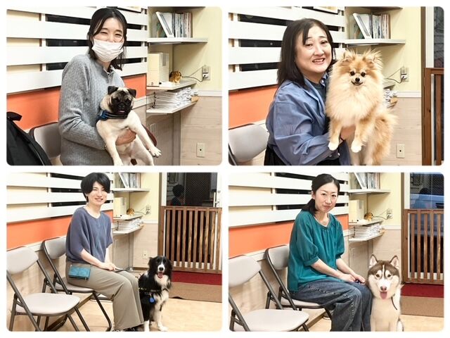 横浜市の犬のしつけ教室・出張レッスン・無駄吠えの矯正レッスンを行うドッグスクールヴィッセ～今日のわん子達～