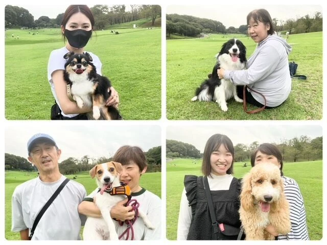 横浜市の犬のしつけ教室・出張レッスン・無駄吠えの矯正レッスンを行うドッグスクールヴィッセ～今日のわん子達～