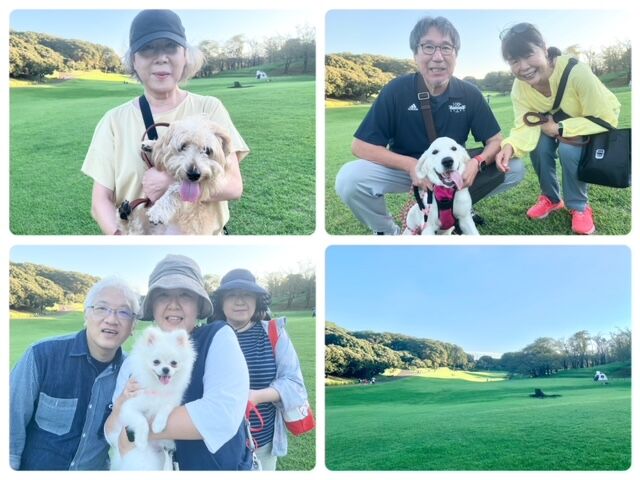 横浜市の犬のしつけ教室・出張レッスン・無駄吠えの矯正レッスンを行うドッグスクールヴィッセ～今日のわん子達～