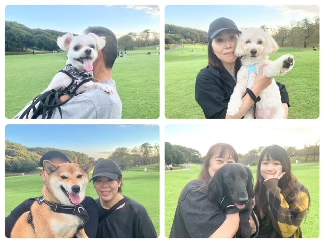 横浜市の犬のしつけ教室・出張レッスン・無駄吠えの矯正レッスンを行うドッグスクールヴィッセ～今日のわん子達～