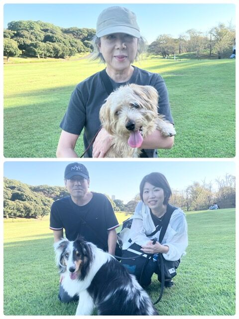 横浜市の犬のしつけ教室・出張レッスン・無駄吠えの矯正レッスンを行うドッグスクールヴィッセ～今日のわん子達～