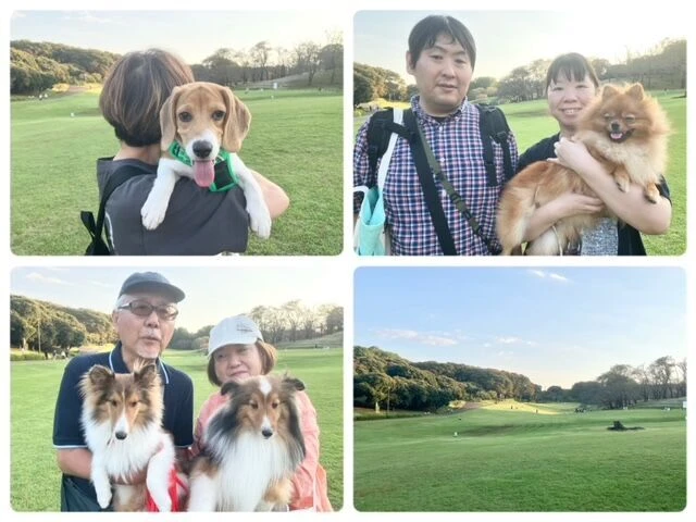 横浜市の犬のしつけ教室・出張レッスン・無駄吠えの矯正レッスンを行うドッグスクールヴィッセ～今日のわん子達～