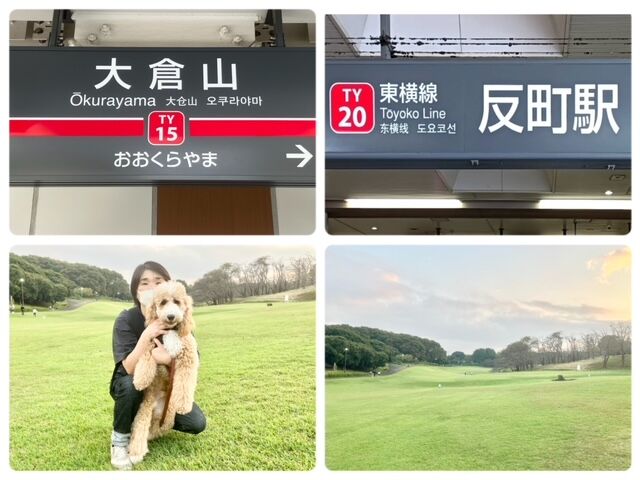 横浜市の犬のしつけ教室・出張レッスン・無駄吠えの矯正レッスンを行うドッグスクールヴィッセ～今日のわん子達～
