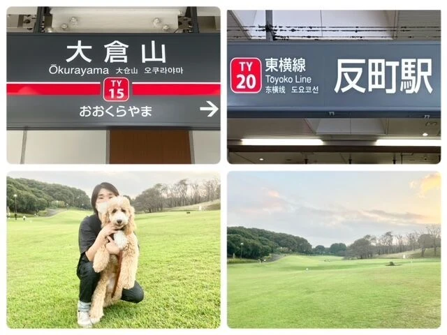 横浜市の犬のしつけ教室・出張レッスン・無駄吠えの矯正レッスンを行うドッグスクールヴィッセ～今日のわん子達～