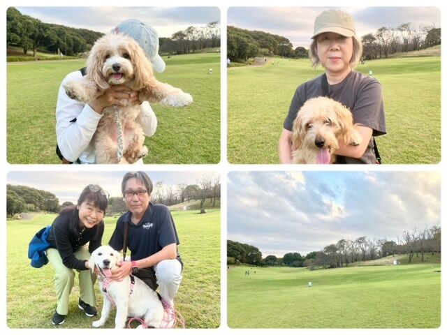 横浜市の犬のしつけ教室・出張レッスン・無駄吠えの矯正レッスンを行うドッグスクールヴィッセ～今日のわん子達～