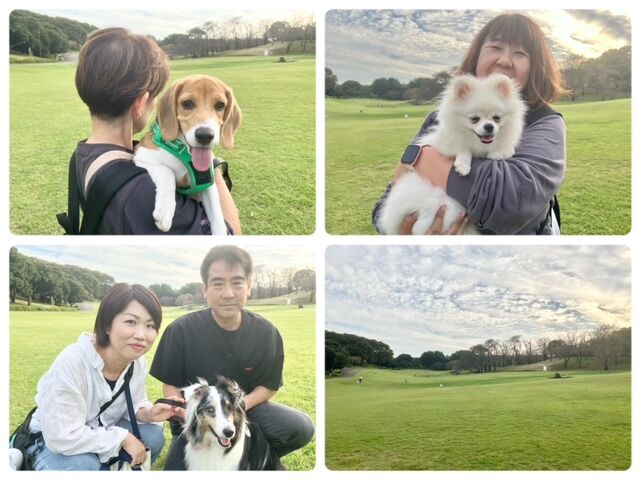 横浜市の犬のしつけ教室・出張レッスン・無駄吠えの矯正レッスンを行うドッグスクールヴィッセ～今日のわん子達～