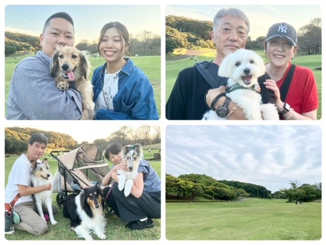 横浜市の犬のしつけ教室・出張レッスン・無駄吠えの矯正レッスンを行うドッグスクールヴィッセ～今日のわん子達～