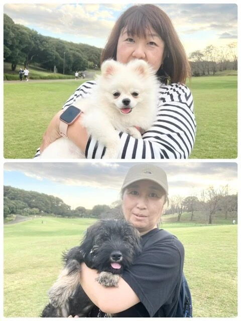横浜市の犬のしつけ教室・出張レッスン・無駄吠えの矯正レッスンを行うドッグスクールヴィッセ～今日のわん子達～