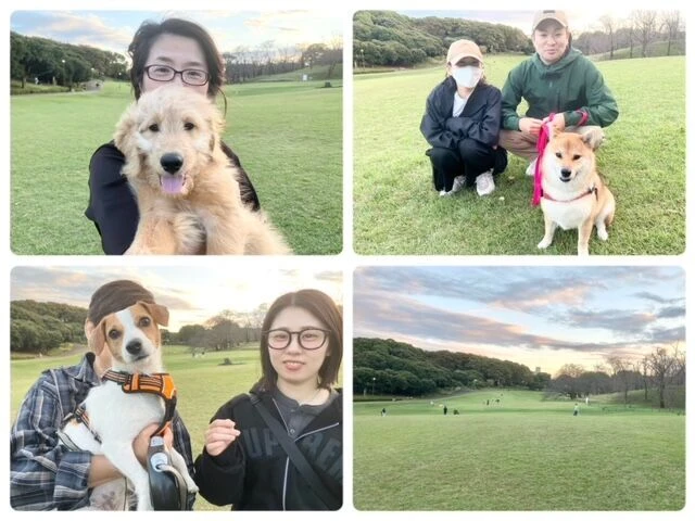 横浜市の犬のしつけ教室・出張レッスン・無駄吠えの矯正レッスンを行うドッグスクールヴィッセ～今日のわん子達～
