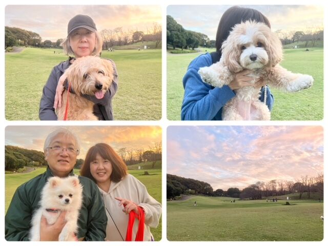 横浜市の犬のしつけ教室・出張レッスン・無駄吠えの矯正レッスンを行うドッグスクールヴィッセ～今日のわん子達～