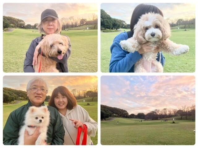 横浜市の犬のしつけ教室・出張レッスン・無駄吠えの矯正レッスンを行うドッグスクールヴィッセ～今日のわん子達～