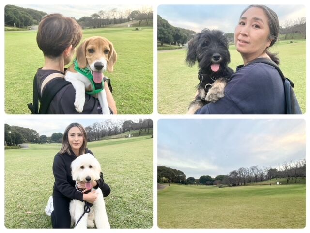横浜市の犬のしつけ教室・出張レッスン・無駄吠えの矯正レッスンを行うドッグスクールヴィッセ～今日のわん子達～