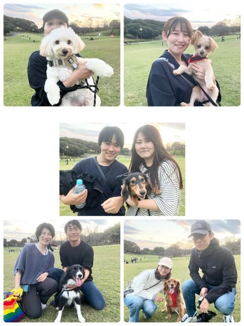 横浜市の犬のしつけ教室・出張レッスン・無駄吠えの矯正レッスンを行うドッグスクールヴィッセ～今日のわん子達～