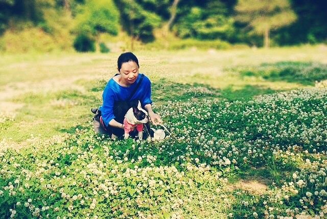 先生のレッスンで一番メインになるのは、犬ではなく飼い主のレッスンだと思います。