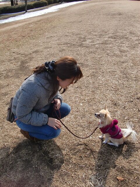 問題の根本的な原因は何かを、飼い主自身が考え答えを出すことだと気づきました。