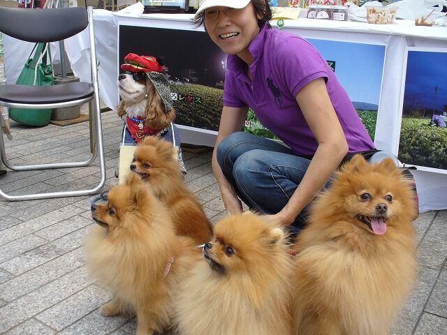 ホームセンターの犬用カートに坐らせて、店内を回ったりできるようになりました。