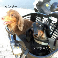 自分勝手な飼い主だなと、３クール目でやっと気付くことが出来ました。