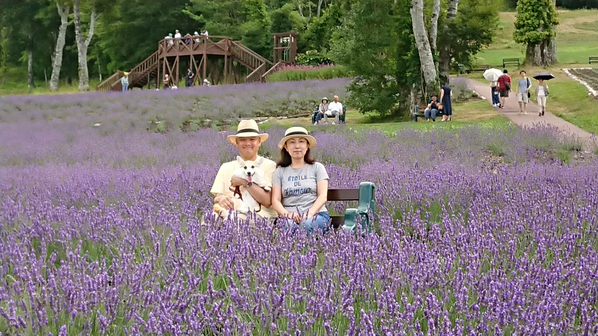 訓練ではなく、子供を育てるように犬も育てることを教えていただきました。