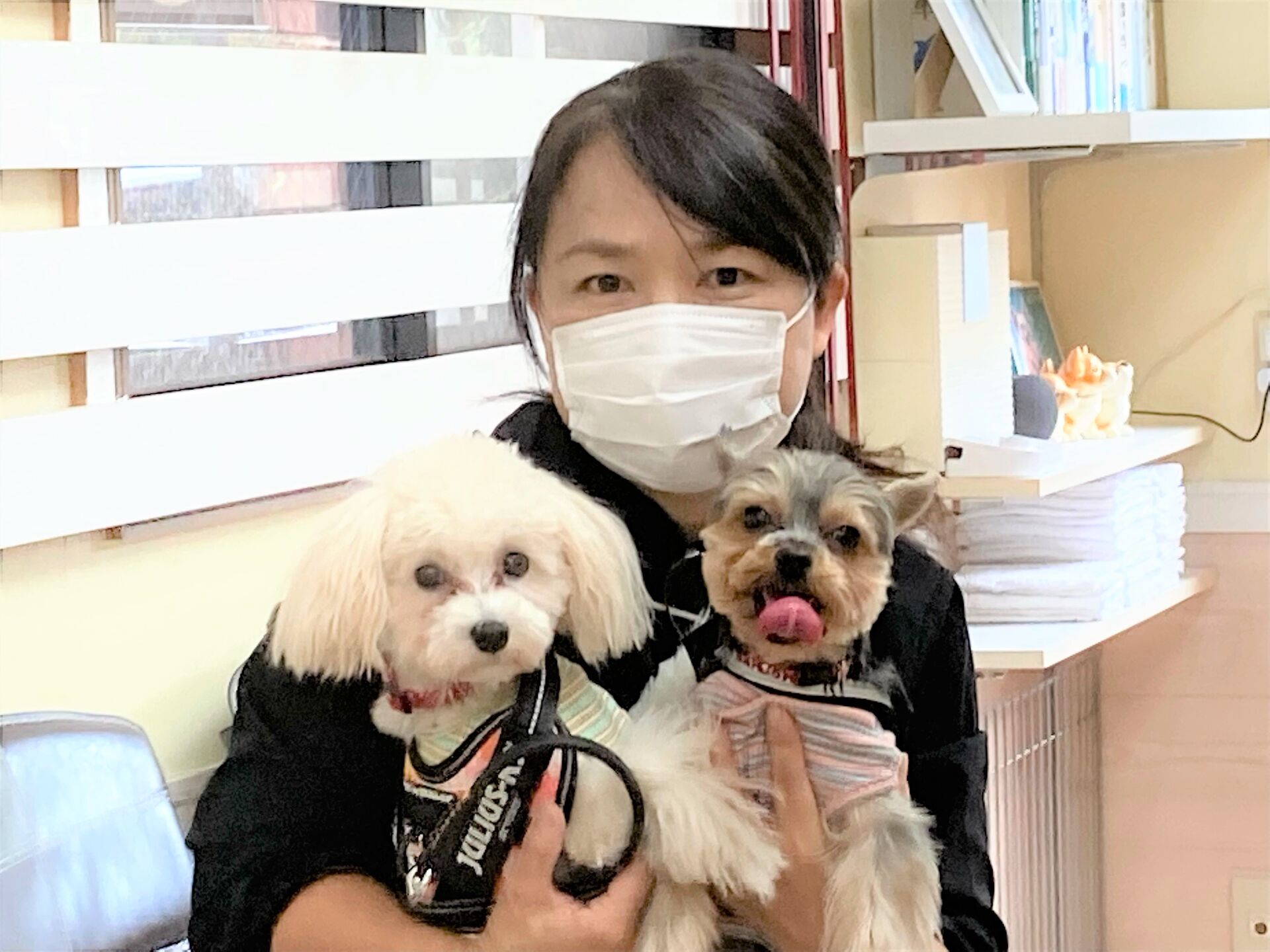 犬の心を育むこと、その事を心に留めてこれからも育てて行きます。