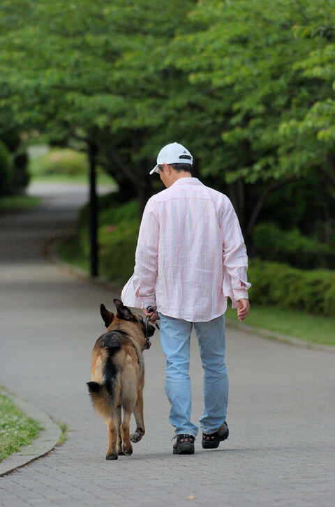犬と暮らすこと