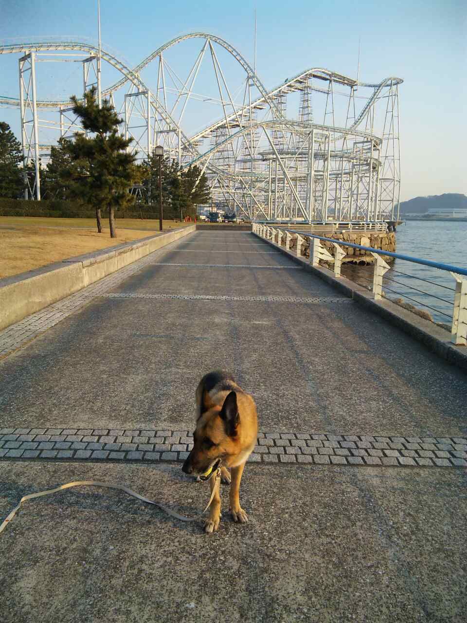 大治郎　お散歩三景 ①