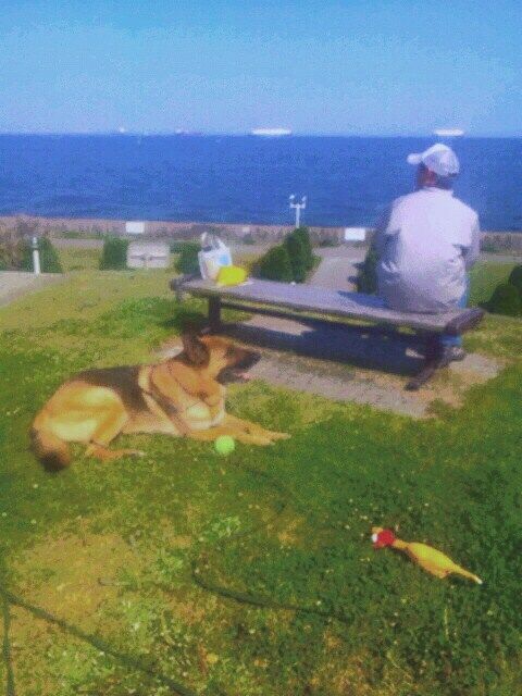 大治郎お散歩三景 ②
