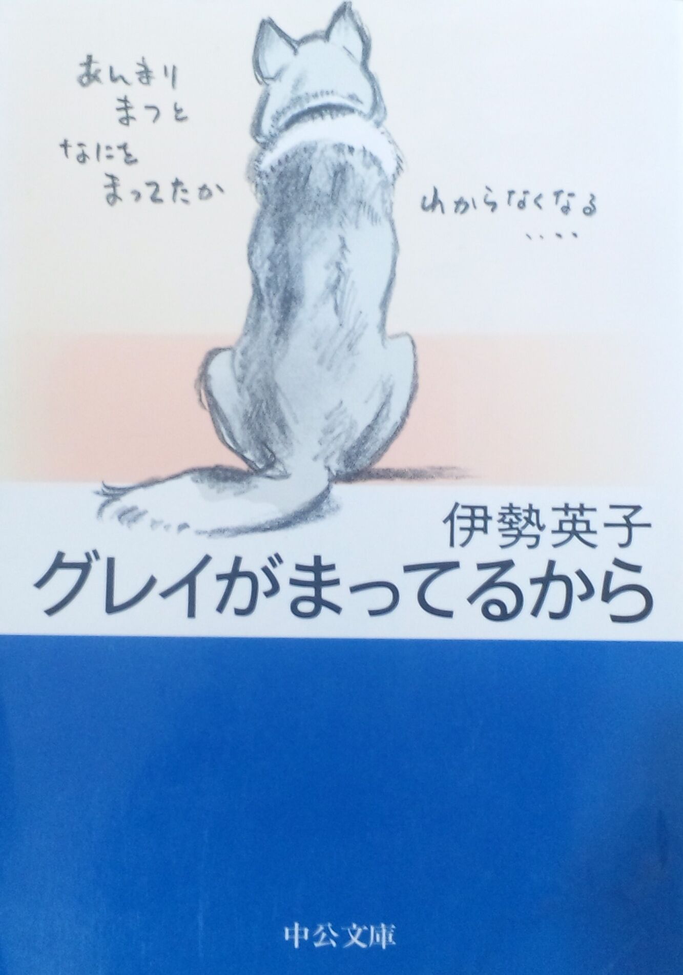 Visse お薦めの書籍　Vol.4　「グレイがまってるから」