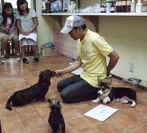 子犬の社会化レッスン～飼い主と愛犬が一緒に学ぶパピーパーティ開催します。