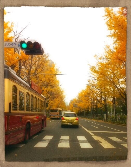 横浜市の『アロマテラピースクール VISSE』単発講座のお知らせ