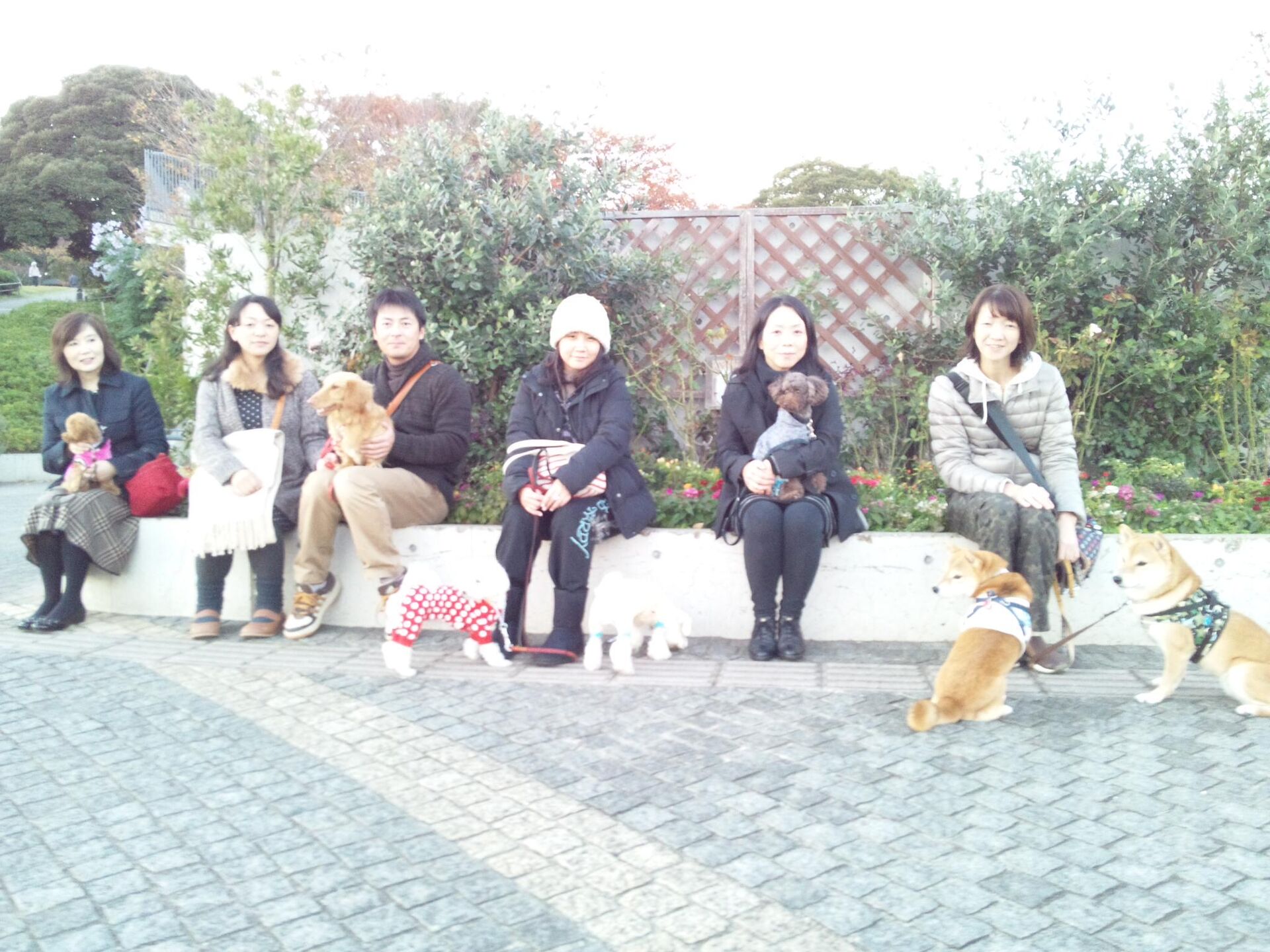 横浜市の犬のしつけレッスン/ただ今お散歩レッスン中！