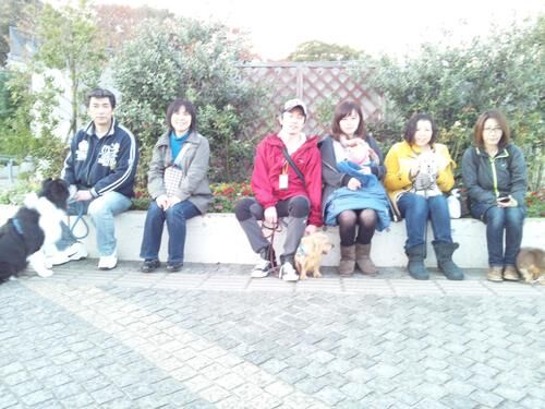 横浜市の犬のしつけレッスン/ただ今お散歩レッスン中！