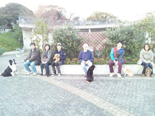 横浜市の犬のしつけレッスン/ただ今お散歩レッスン中！