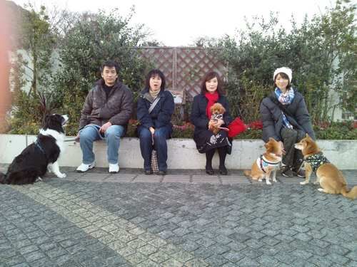 横浜市　中区の犬のしつけレッスン/ただ今、お散歩レッスン中！