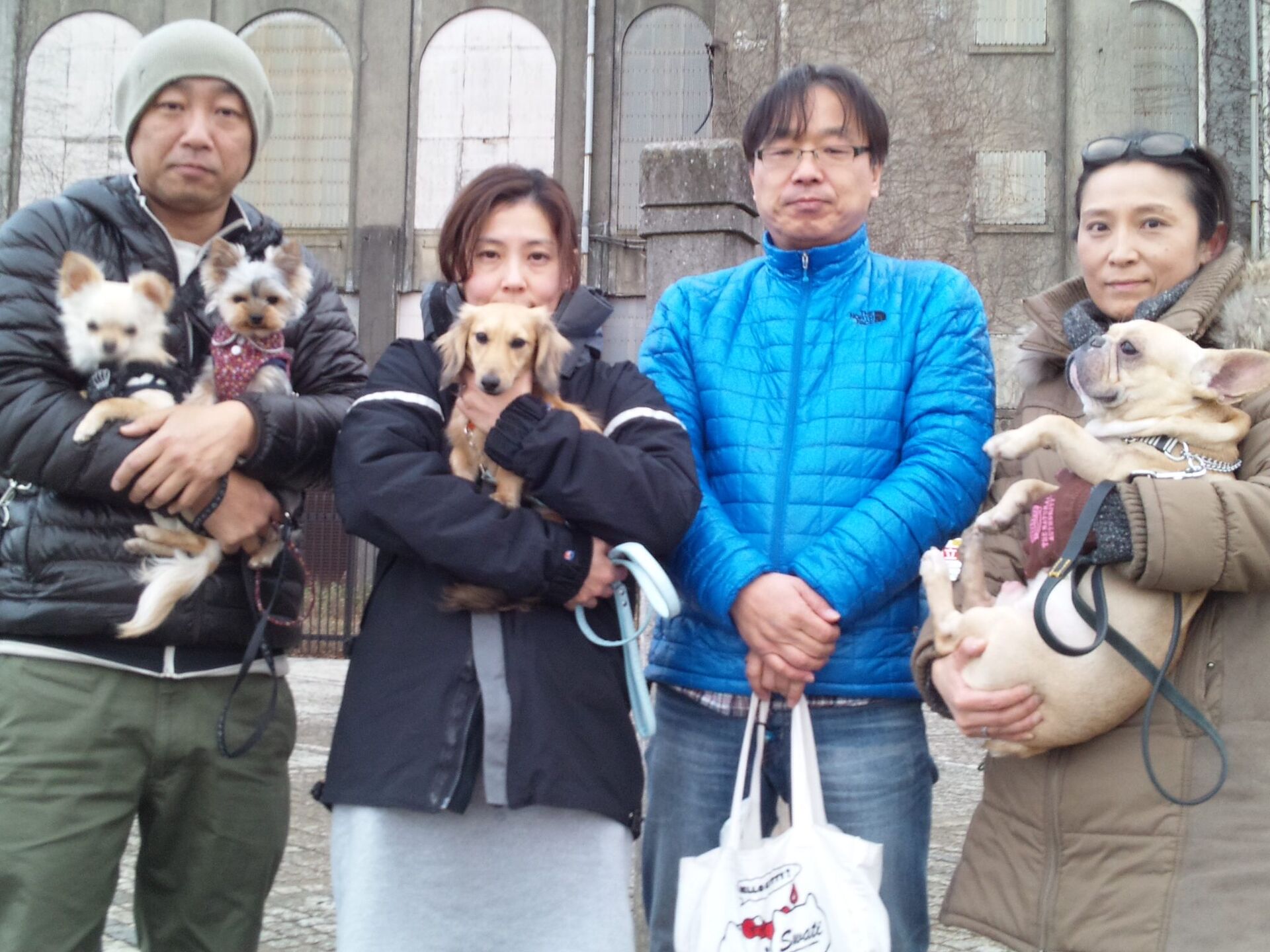 横浜市の犬のしつけレッスン/ただ今、お散歩レッスン中！
