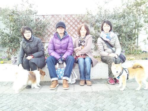横浜市の犬のしつけレッスン/お散歩レッスン中！