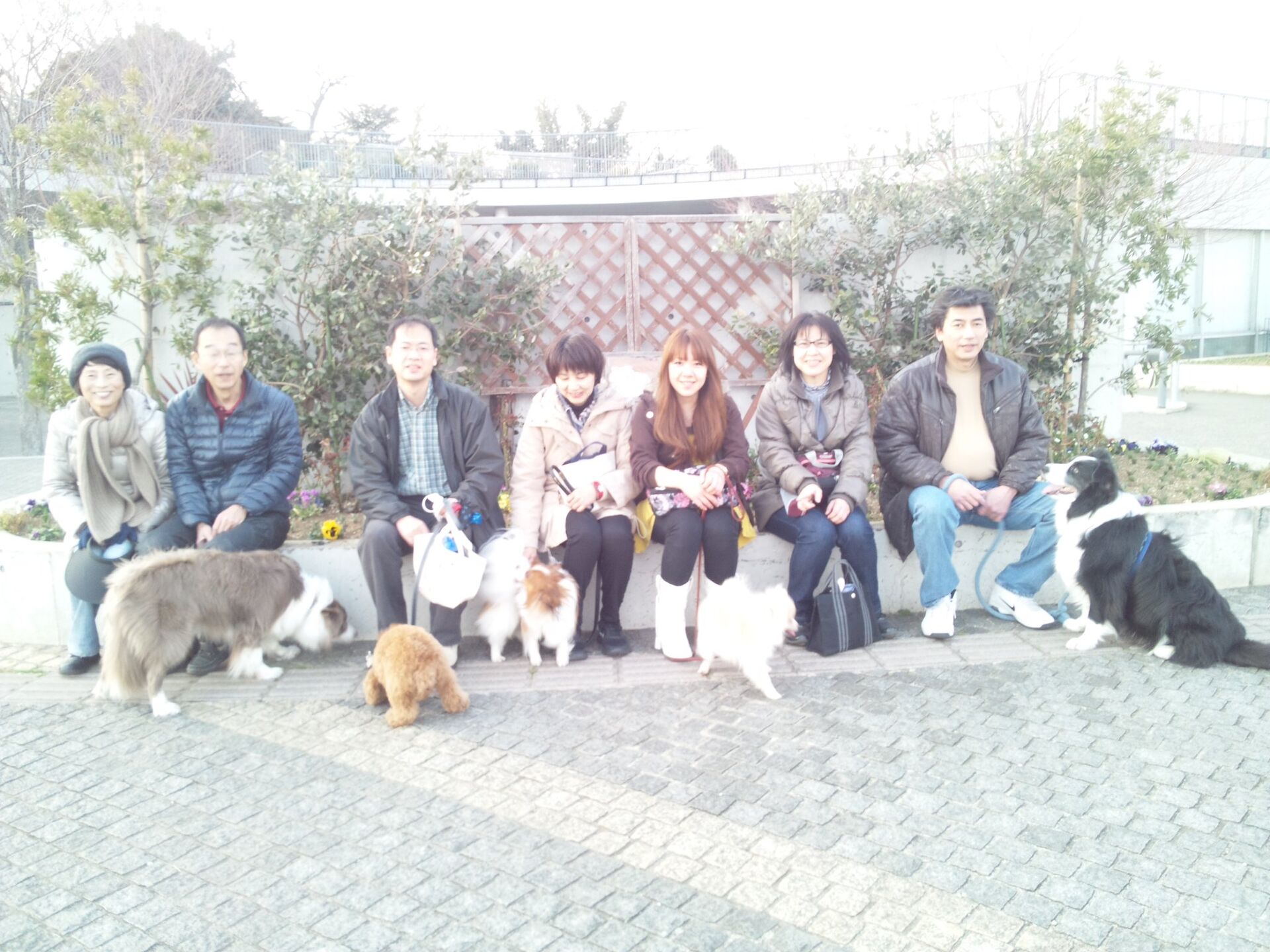 横浜市の犬のしつけレッスン/お散歩レッスン中！