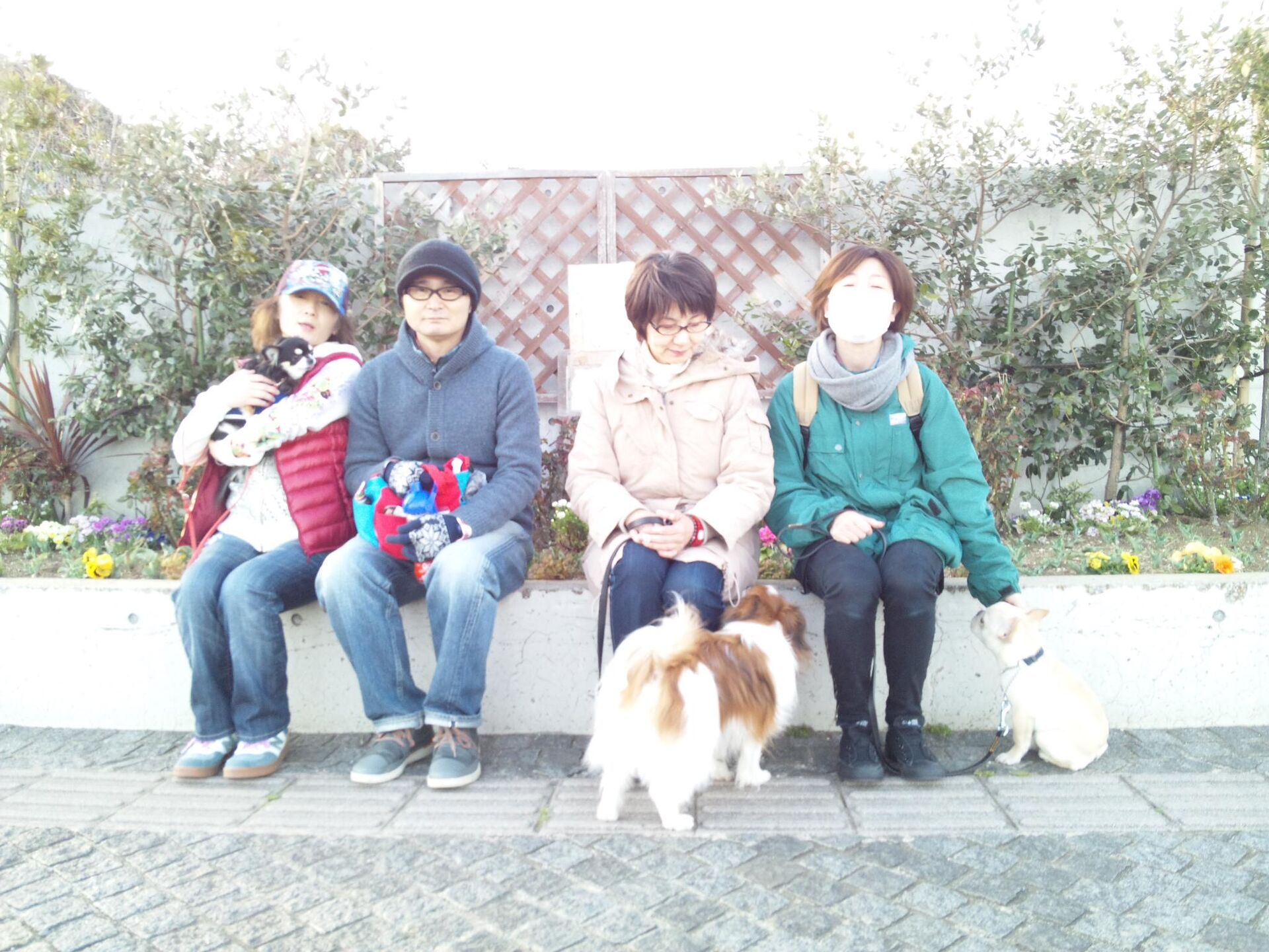 横浜市の犬のしつけレッスン/お散歩レッスン中！
