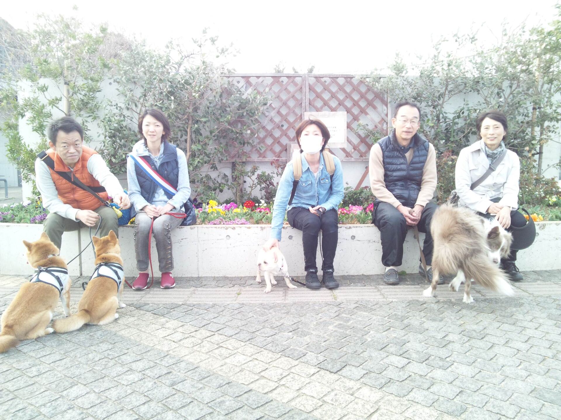 横浜市の犬のしつけレッスン/お散歩レッスン中！