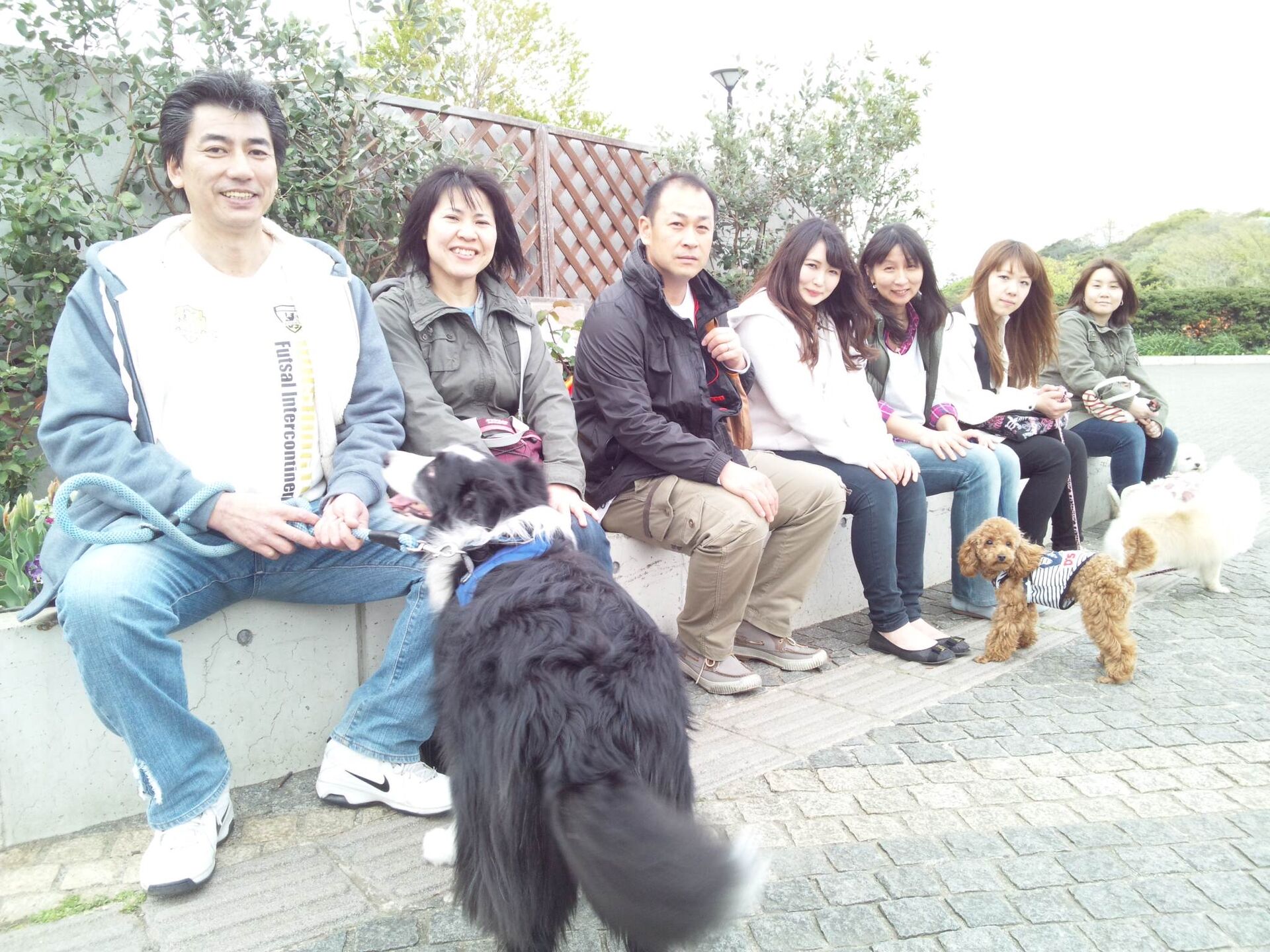 横浜市の犬のしつけレッスン/お散歩レッスン中！