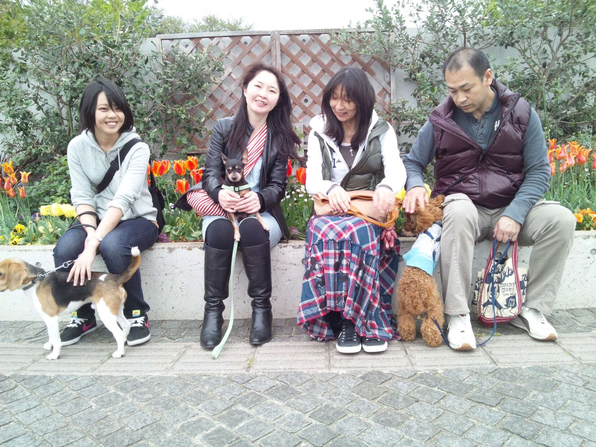 横浜市の犬のしつけレッスン/お散歩レッスン中！