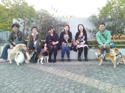 横浜市の犬のしつけレッスン/お散歩レッスン中！