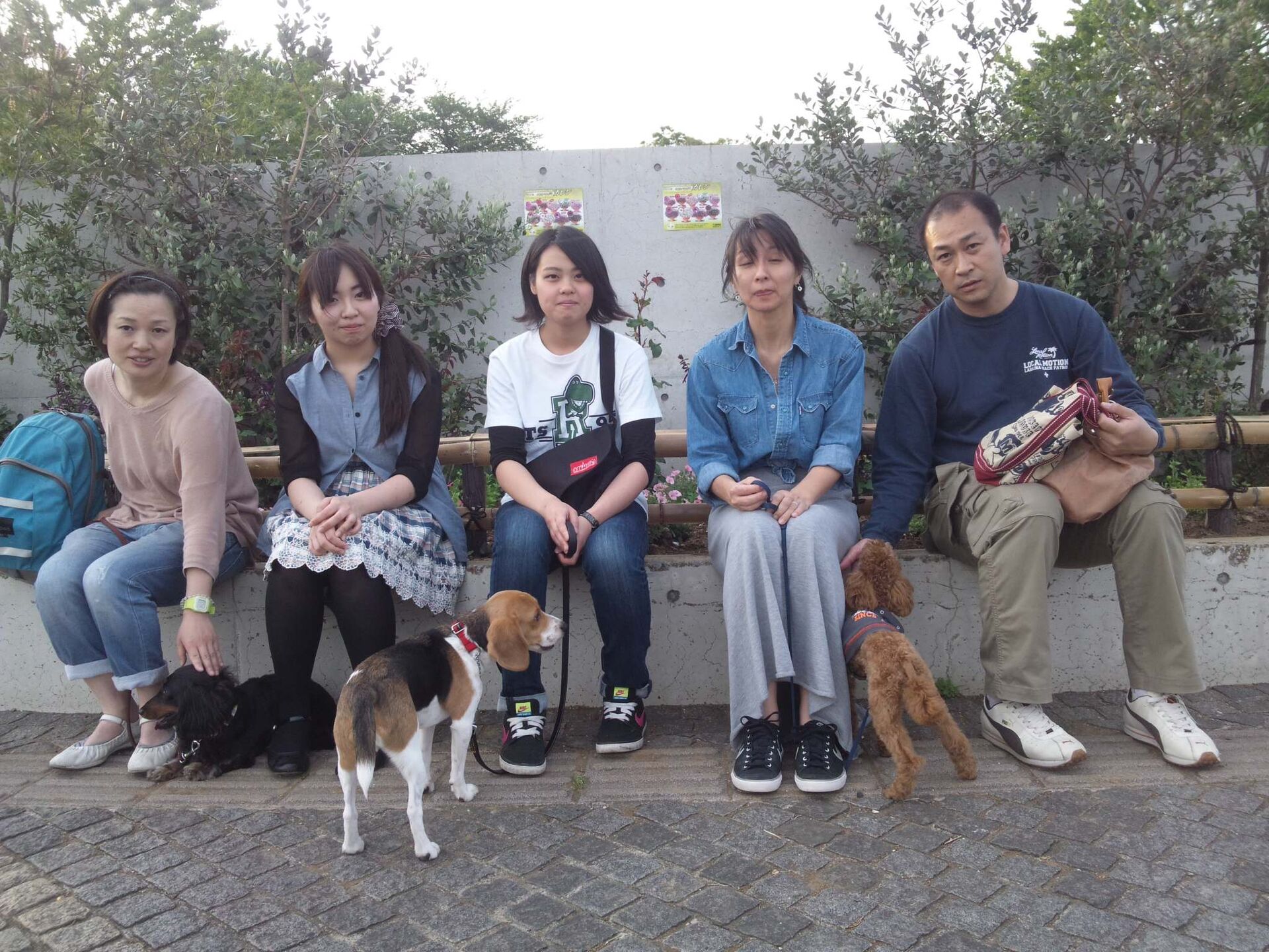 横浜市の犬のしつけレッスン/お散歩レッスン中！
