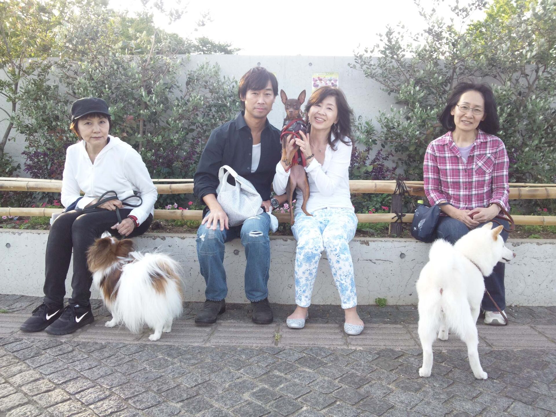 横浜市の犬のしつけレッスン/お散歩レッスン中！