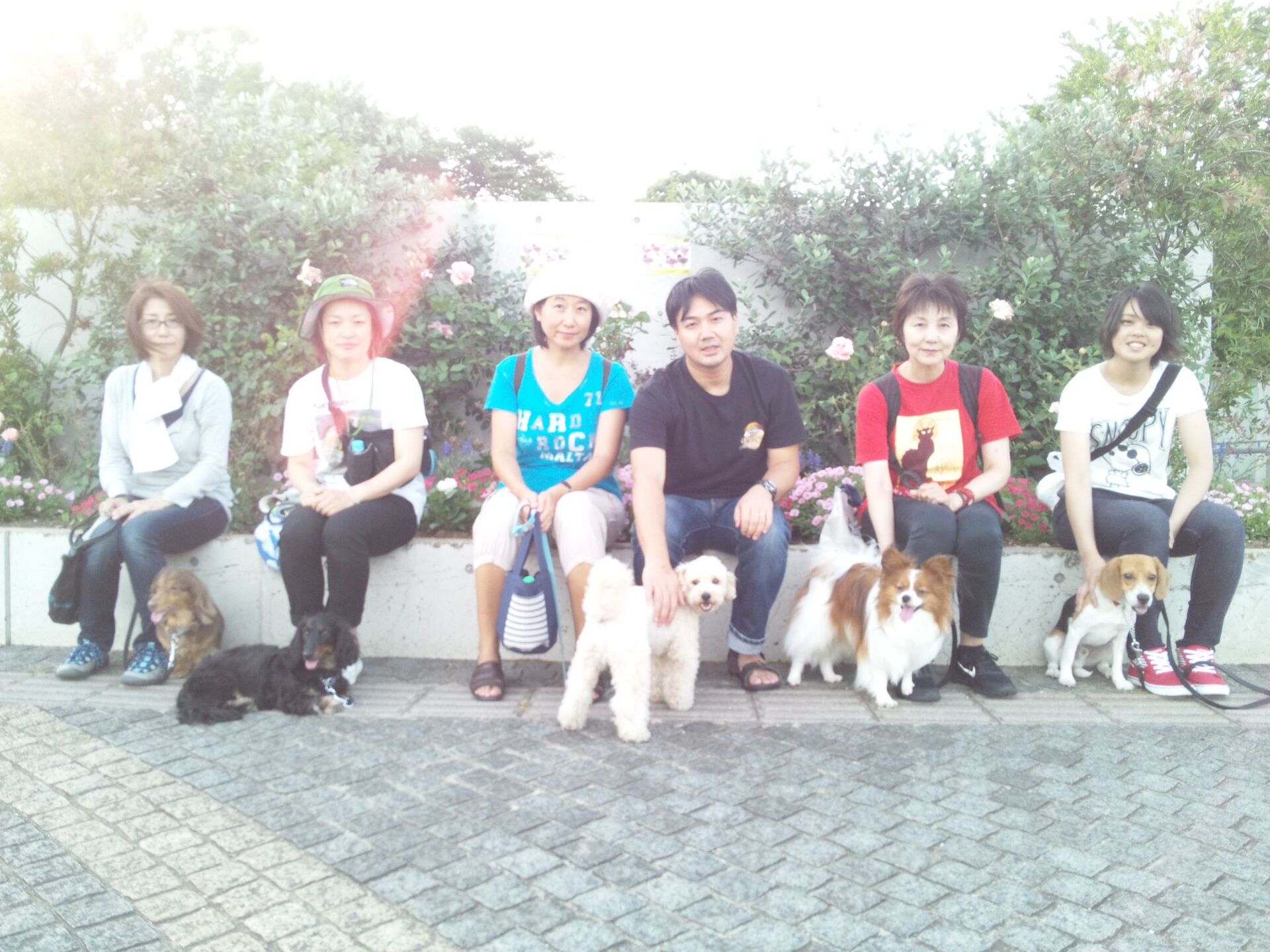 横浜市の犬のしつけレッスン/お散歩レッスン中！