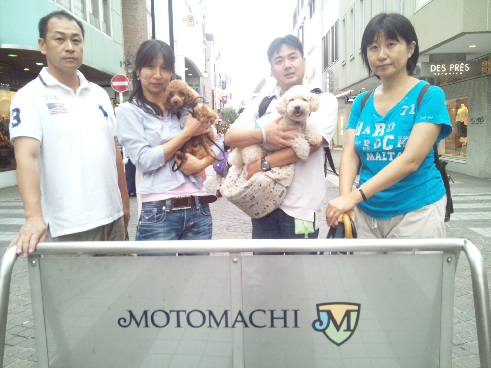横浜市の犬のしつけレッスン/お散歩レッスン中！